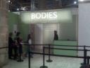 bodies, la exposición