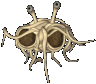 FSM