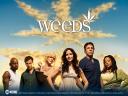 Weeds (1ª temp)